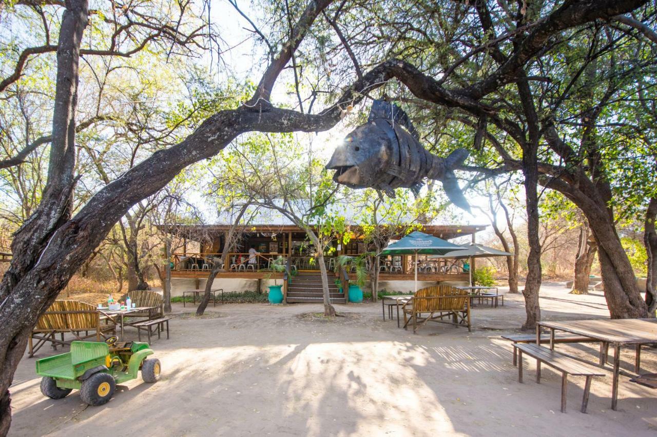 Sitatunga Campsite Maun Exterior photo